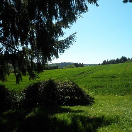 Blick In Die Suedeifel Biersdorf المظهر الخارجي الصورة