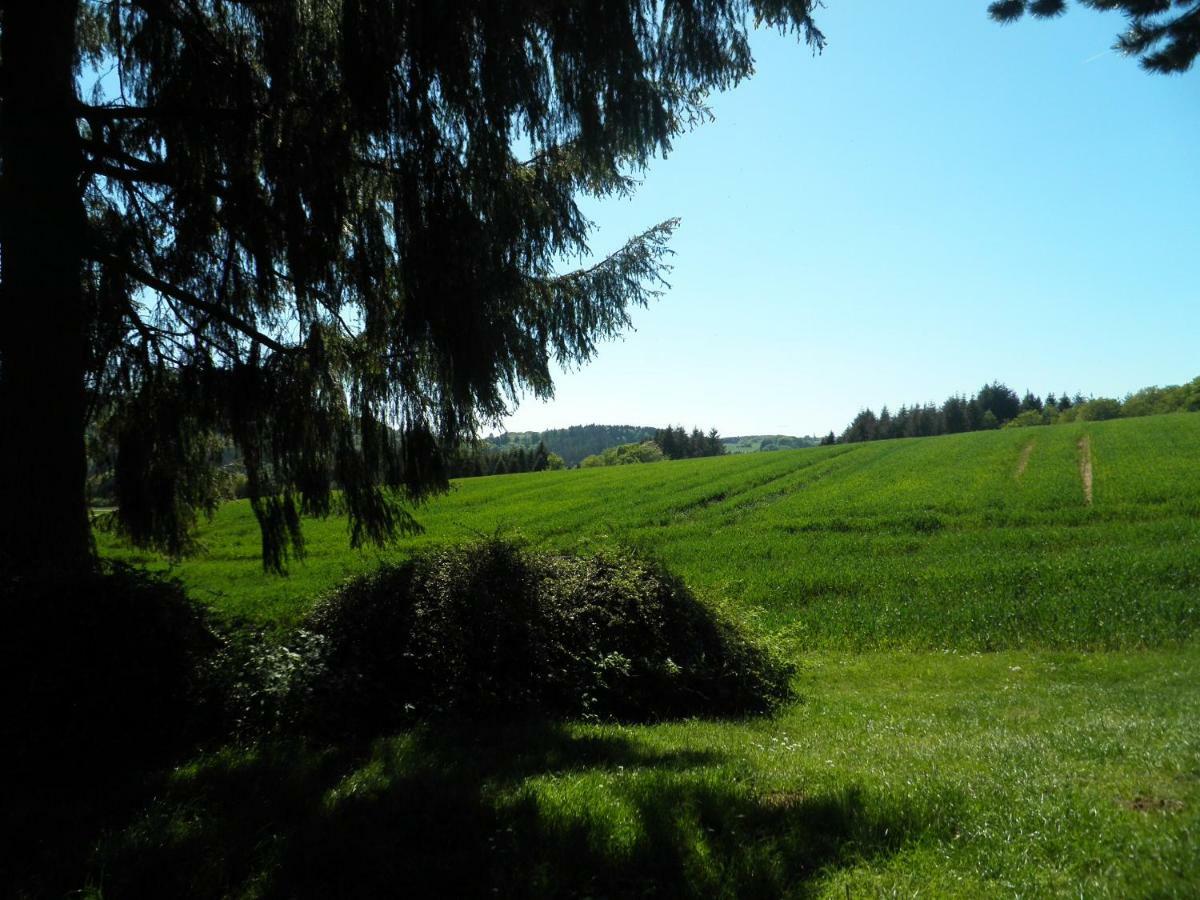 Blick In Die Suedeifel Biersdorf المظهر الخارجي الصورة