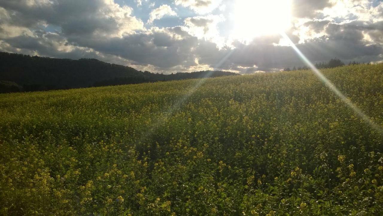 Blick In Die Suedeifel Biersdorf المظهر الخارجي الصورة